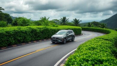 Mastering the Morning Rush: Saint Lucia's Secret to Stress-Free Drives